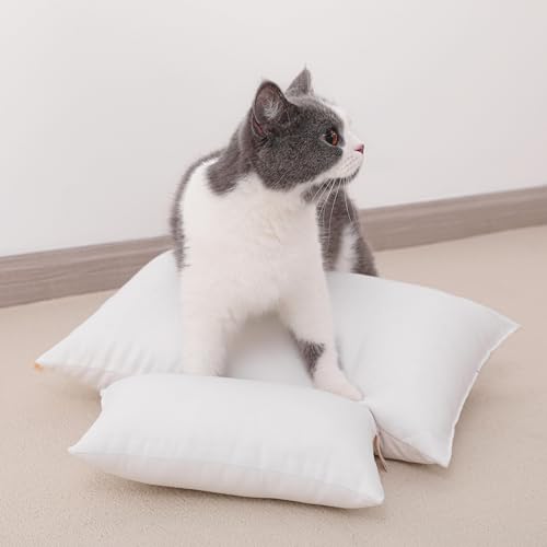 NTBAY Tiny Pillows, Down Alternative 7"x11" 100% Microfiber, Filler: 100% Polyester Mini Pillow for Travel, Pets, Soft Machine Washable Small Pillows for Neck, Wrist, Lumbar and Knee, Dark Brown - color: Dark Brown, size: 11"x7"