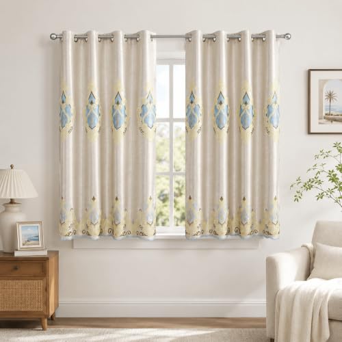 Embroidery Curtains 63 inch Length Grommet Window Treatment Voile Panel Drape for Living Room Kichen, Two Panels, W42 x L63 inch | Filters Natural Light, Soft Fabric Feel, Neat Stitching, Easy to Hang, for Kitchen or Living Room - color: C1, size: 42"W x
