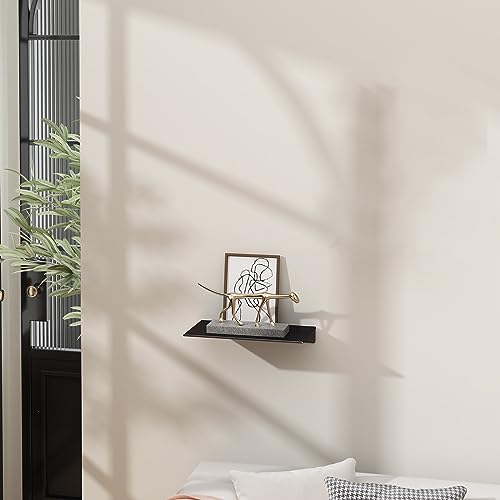 8 inch Small Floating Shelf for Wall Organizer & Storage, Mini Display Shelf, Metal Wall Shelf for Bathroom, Living Room, Kitchen, Bedroom(Matte Black) - color: Black, size: 8 in