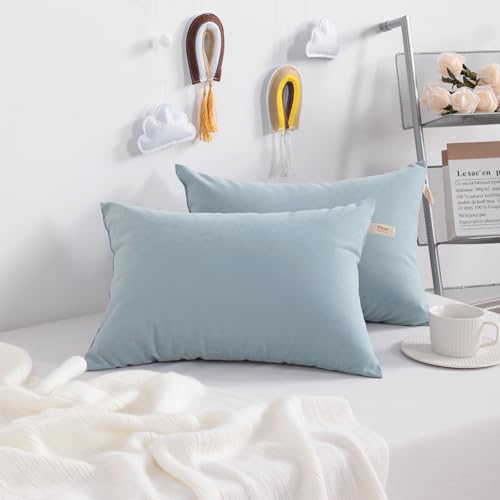 NTBAY Toddler Pillows, Set of 2, 13"x18", Sea Green | Soft Microfiber Toddler Pillows with Down-Alternative Fill, 2 Pack 13 x 18 Inch Pillows for Beds, Daycare, and Travel - color: Sea Green, size: 13"x18"