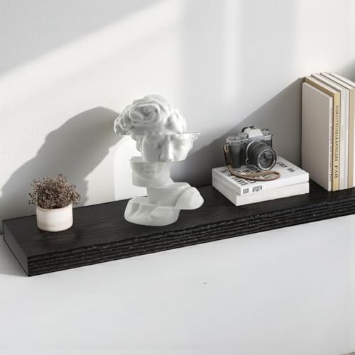 Bookshelf Decor Statue - Abstract Fragmented Bust Sculpture Aesthetic, Modern Greek David Head Art for Living Room, Office, Coffee Table, Desk & Shelf Home Decoration