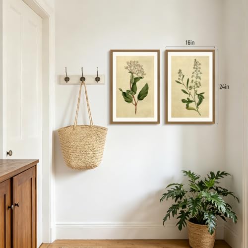 RLKHG Wood Framed Vintage Botanical Wall Art Set of 3, Classic Herbarium Plant Prints, Green Botanical Illustration Wall Decor, Farmhouse Cottagecore Floral Artwork for Office Bedroom 12x16 Inch - color: RetroPlant, size: 16"L x 12"W