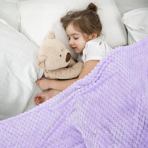 Vessia Flannel Fleece Throw Blanket, 3D Jacquard Light Purple Fuzzy and Warm Blanket for Couch, Sofa, Bed, Chair, 300GSM Soft Touch Cozy Lavender Throw for All-Season Home Decor(50x40inch) - color: Light Purple-3d, size: 50x40 inch