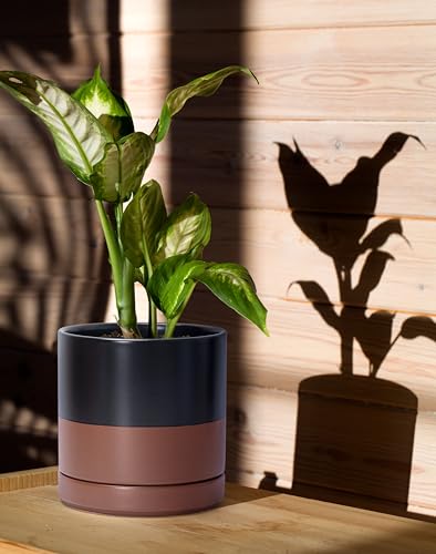 D'vine Dev 2-Pack Ceramic Pots with Saucers, Black/Tan, 6.5 in, 94-V-C-7 | Modern Cylinder Design, Glazed Ceramic, Drainage Hole & Saucer Included, High Temperature Fired, Elegant Home Accent - color: Black/Speckled Tan, size: 6 Inch