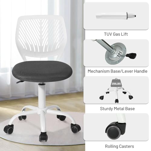 FurnitureR Students Cute Desk Chair Ergonomic for Teens Boys Girls Youth Low-Back Armless Study Writing Swivel Mesh Seating with Adjustable Height for Home Office Living Room Bedroom School - color: Black/Grey