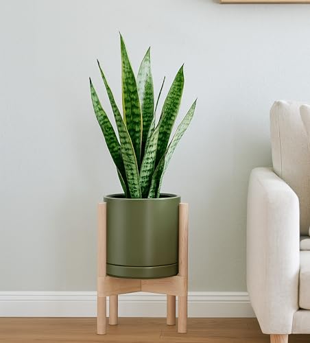 D'vine Dev Ceramic Pot with Natural Wood Stand, Olive, 8 in, 55-B-N-J | Mid-Century Modern Design, Raised Plant Display, Solid Beech Wood Stand, Premium Craftsmanship, Sophisticated Home Decor - color: Olive Pot + Natural Stand, size: 8 Inch