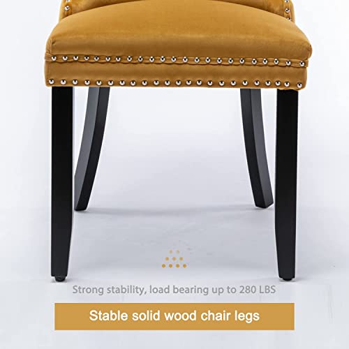 Virabit Velvet Upholstered Chairs Set of 6, Tufted Dining Chairs with Nailhead Back and Ring Pull Trim, Solid Wood for Kitchen/Bedroom/Dining Room (Gold) - color: Gold, size: set of 6