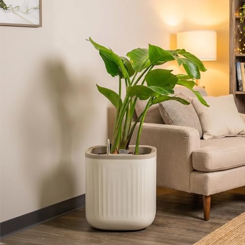15 Inch Self-Watering Planter for Indoor Plants – Large Modern Plant Pot with Built-In Water Reservoir, Ideal for Monstera, Fiddle Leaf Fig, Palms & Peace Lily, Without Trellis (1, Cream White) - color: Cream White