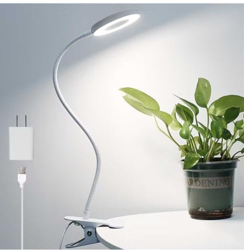 Woputne Desk Lamp Clip on Desk Reading Lights for Books in Bed (White) | With 5V 2A Adapter, 10 Dimmable Brightness 3 Modes, Clip on Light for Reading Home Office,Bed Headboard, Craft - size: White-1 Piece-Standard-With Adapter