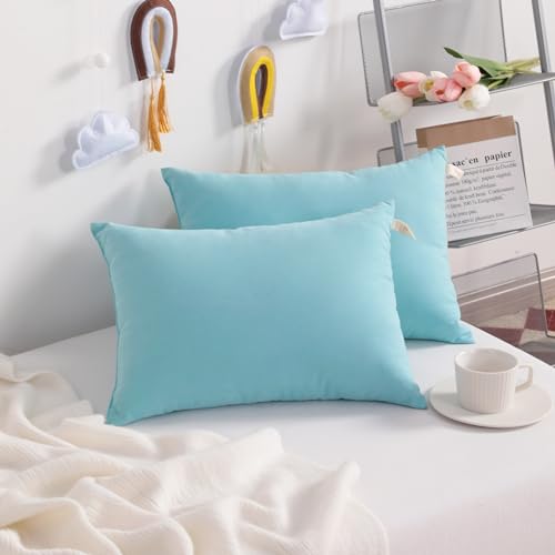 NTBAY Toddler Pillows, Set of 2, 13"x18", Aqua | Soft Microfiber Toddler Pillows with Down-Alternative Fill, 2 Pack 13 x 18 Inch Pillows for Beds, Daycare, and Travel - color: Aqua, size: 13"x18"