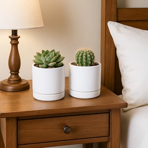 D'vine Dev 2-Pack Ceramic Pots with Saucers, White, 4.7 in, 94-V-B-1 | Modern Cylinder Design, Glazed Ceramic, Drainage Hole & Saucer Included, High Temperature Fired, Elegant Home Accent - color: White, size: 4.7 Inch