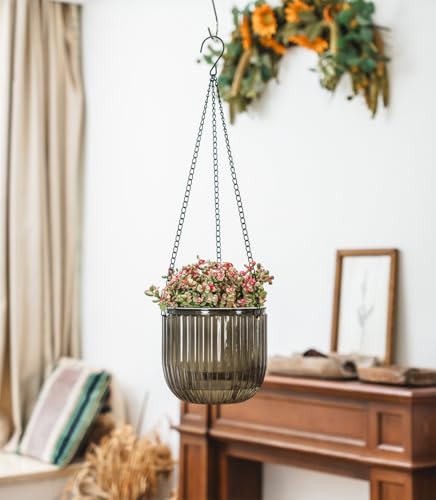 Josteve 6.5 Inch 2 Pcs Self Watering Hanging Planter Indoor Plant Pots Drainage Holes, Outdoor Hanging Planters Flower Pot Basket, Visible Water Level, Plant Hanger Home Decor, Gardening - color: Gray, size: 2*6.5 inch