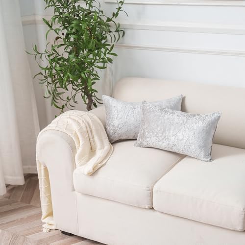 NiNi ALL Silvergrey Velvet Throw Pillow Covers 12x20 Set of 2 Sofa Decor | Soft Solid Shine Cushion Rectangular Decorative Pillow Cases for Chair Bedroom Farmhouse Living room Modern Luxury Home - color: Silver Grey, size: 20" x 12" (Pack of 2)