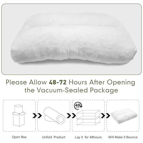 JZHLLA 3 PCS Shredded Foam Sofa Back Cushions Replacement Fluffy Memory Sponge Couch Pillow with Quilted Design 31x18x5 Inch Lumbar Support Pillow for Sofa Bed Floor - size: 3PCS