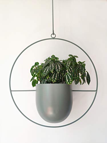 RISEON Boho Green Metal Plant Hanger,Metal Wall and Ceiling Hanging Planter, Modern Planter, Mid Century Flower Pot Plant Holder, Minimalist Planter for Indoor Outdoor Home Decor - color: Green