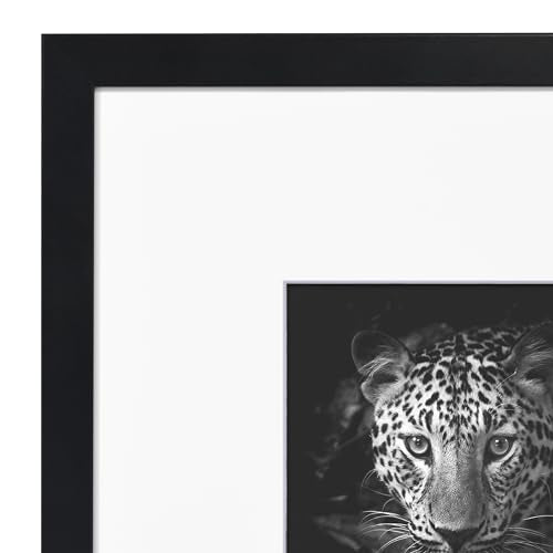 Americanflat 8x8 Picture Frame 6-Pack - Matted to 4x4 - Black | Engineered Wood construction, Shatter-resistant glass, wall or tabletop display with included easel, secure turn-tab backing - color: Black, size: 8X8, style: 6 Pack