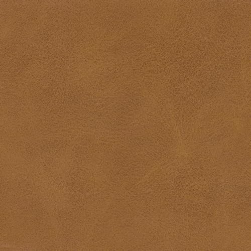 Spatial Order 24" Dinah Collection Storage Ottoman - Carmel Faux Leather - color: Carmel Faux Leather