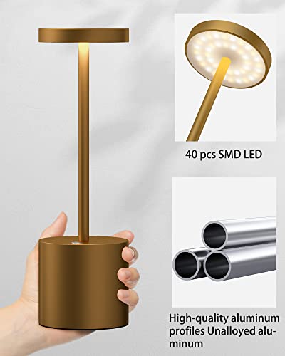 2Pack Cordless Table Lamp, Rechargeable LED Battery 5000mAh Metal USB Portable Powered Desk Lamp, 3 Levels Brightness Light for Restaurants Outdoor (2pack 10.25in Titanium) | Battery 5000mAh Metal USB Portable Powered Desk Lamp, 3 Levels Brightness Light