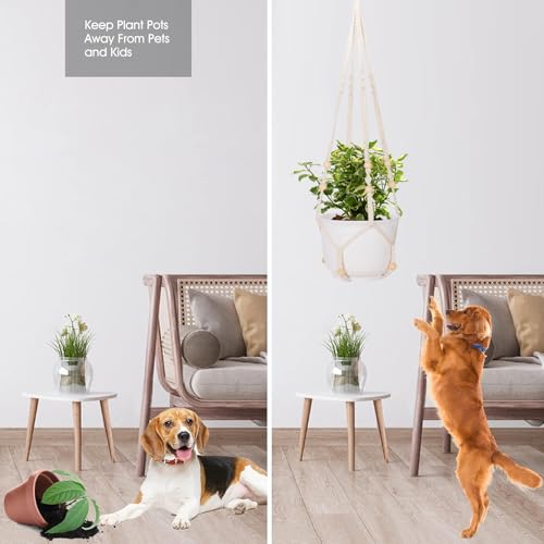RIFNY Macrame Plant Hanger for 5 to 10 Inch Plant Pots, 35 Inch Indoor Handmade Woven Rope Hanger Kits with Hooks and Wood Beads, Hanging Planter Basket Holder for Boho Home Decor (White, 3 Pack) | 35 Inch Hanging Planter with Hooks, Fits 5-10" Pots, Suit