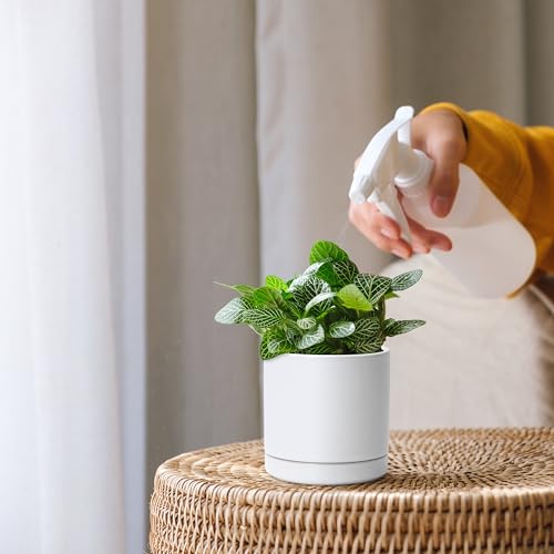 D'vine Dev 2-Pack Ceramic Pots with Saucers, White, 3.5 in, 94-V-A-1 | Modern Cylinder Design, Glazed Ceramic, Drainage Hole & Saucer Included, High Temperature Fired, Elegant Home Accent - color: White, size: 3.5 Inch