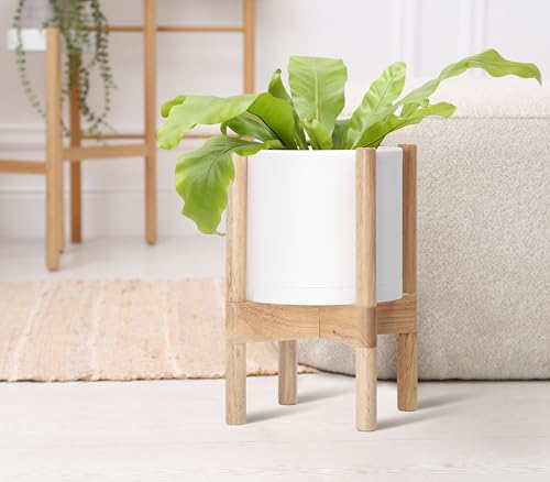 D'vine Dev Plastic Pot with Natural Wood Stand, White, 8 in, 55-C-J-1 | Mid-Century Inspired Design, Elevated Plant Display, Clean Lines, Sturdy Support, Modern Space-Saving Style - color: Matte White Pot + Natural Stand, size: 8 Inch