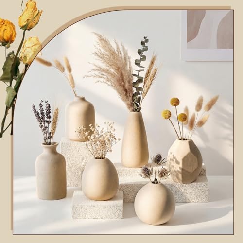 6 Pcs Mini Beige Ceramic Vase Set Modern Boho Bud Vases for Dried Flowers Plants Small Decorative Pottery Vases for Home Decor Wedding Bookshelf Coffee Table Centerpiece