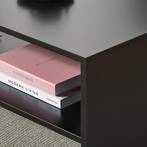 Panana 2-Tier Coffee Table Simple Couch Sofa Side End Table Tea Accent Table for Living Room Office, 39.4" x 15.7" x 15.7" (Black) - color: Black
