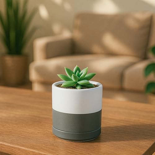 D'vine Dev Set of 2 Plants Pots, 3.5 Inch Ceramic Planter Pot for Plants with Drainage Hole and Saucer, White/Speckled Grey, 94-V-A-6 - color: White/Speckled Grey, size: 3.5 Inch