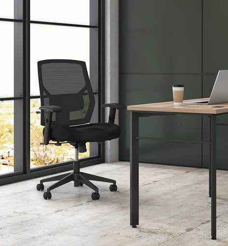 HON Crio Ergonomic Office Chair, Office Desk Computer Chair, Black | High back ergonomic desk chair with lumbar support, adjustable arms, standard tilt, rolling seating for home office decor - color: Mesh Back - Standard Tilt