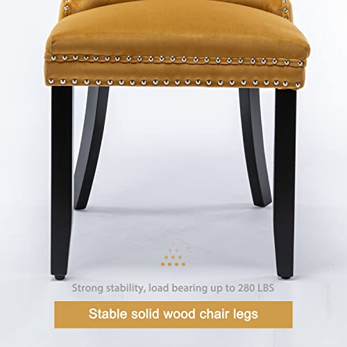 Virabit Velvet Dining Chairs Set of 4, Tufted Upholstered Dining Chairs with Nailhead Back and Ring Pull Trim, Solid Wood Dining Chairs for Kitchen/Bedroom/Dining Room (Gold) - color: Gold, size: set of 4