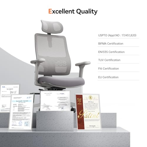 Ergonomic High-Back Office Chair, Home Office Desk Chair with Auto-Following Lumbar Support, Adjustable Headrest, 3D Armrest, Seat Depth & Heigh Adjustable, 96°-126° Recline - color: Grey