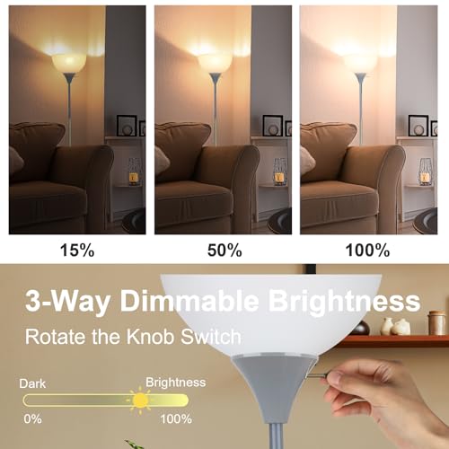 LALISU Floor Lamp, LED Standing Lamp 3 Way Dimmable Brightness Floor Lamp | Rotary Switch Floor Lamps Modern Industrial Lamp with Shade, Tall Lamps for Living Room Bedroom Office Dining Room (Grey) - color: Gray