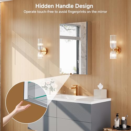 20" x 30" Bathroom Medicine Cabinet with Mirror, Recessed or Wall Mount | Medicine Cabinets with Adjustable Glass Shelves, Soft-Closed Hinge, Chrome Aluminum Frame, Reverse Installation - size: 20" x 30"