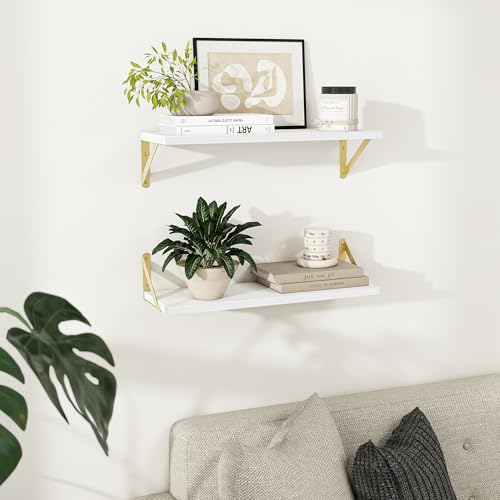 Dreamland Wall Mounted Floating Shelves Set of 2, 24x8, White&Gold | Engineered Wood, Visible Bracket, Large Storage, Hold Up to 45lbs, Living Room, Bathroom, Bedroom, Kitchen - color: White&gold, size: 24"W x 8"D