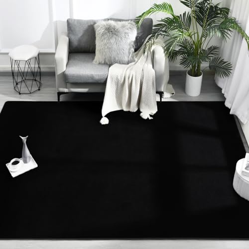 FlyDOIT Area Rugs for Bedroom Living Room, 4x6 Black Super Soft Comfy Thickened Memory-Foam Indoor Carpets, Modern Aesthetic Minimalist Carpet for Boys Girls Adults Apartment Nursery Home Décor - color: Black, size: 4' x 6' (Rectangular)