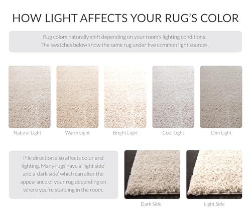 SAFAVIEH August Shag Collection Accent Rug - 2'3" x 4', Beige, Solid Design, Non-Shedding & Easy Care, 1.2-inch Thick Ideal for High Traffic Areas in Entryway, Living Room, Bedroom (AUG900D) - color: Beige, size: 2'3" x 4' (Rectangular)
