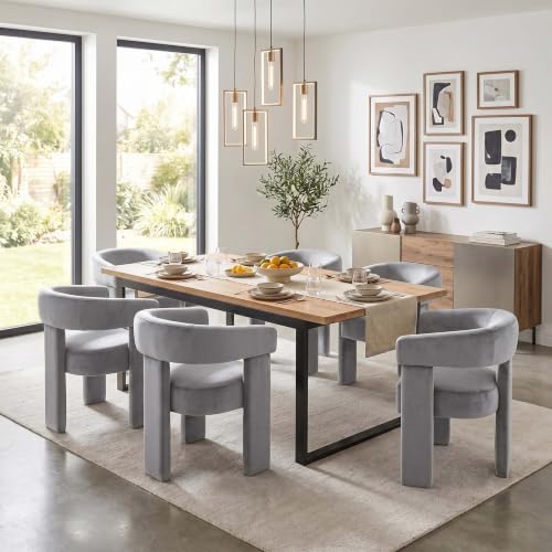 Velvet Modern Barrel Dining Chairs Set of 2, Upholstered Accent Chair with Back, Vanity Chair Comfy Armchair for Kitchen/Dining Room/Living Room, Grey - color: Grey, size: Set of 2
