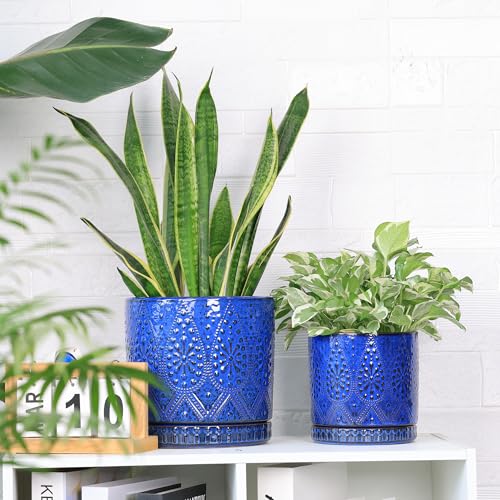 8 Inch + 6 Inch Indoor Plant Pot with Drainage Holes and Saucers, Ceramic Planter for Plants Succulent Orchid Flower Pots - color: Blue, size: 8Inch+6Inch