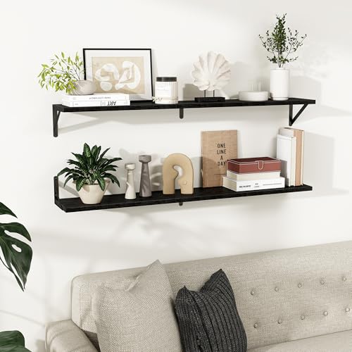 Dreamland Wall Mounted Floating Shelves Set of 2, 48x8, Black | Engineered Wood, Visible Bracket, Large Storage, Hold Up to 70lbs, Living Room, Bathroom, Bedroom, Kitchen - color: Black, size: 48"W x 8"D