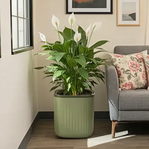 15 Inch Self-Watering Planter for Indoor Plants – Large Modern Plant Pot with Built-In Water Reservoir, Ideal for Monstera, Fiddle Leaf Fig, Palms & Peace Lily, Without Trellis (1, Sage Green) - color: Sage Green