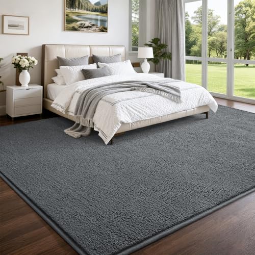 Nuttumico Modern Area Rugs for Bedroom Living Room, 5x7 Feet Dark Grey Rug, Thickened Memory-Foam Indoor Carpet, Minimalist Carpets for Boys Girls, Soft, Non-Slip and Machine-Washable - color: Dark Grey, size: 5' X 7' (Rectangular)