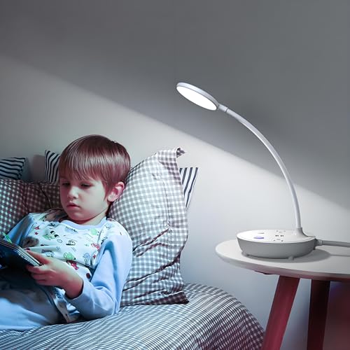 LED Desk Lamp with 2 USB Charging Ports and 2 AC Power Outlets - Adjustable Gooseneck Desk Light with 3 Level Brightness, Eye-Caring Small Table Lamp for Home Office, College Dorm Room Essentials