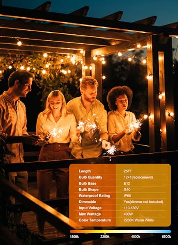 Outdoor String Lights, 25FT 12+1 G40 Bulbs Shatterproof Patio Lights | IP65 Waterproof Dimmable Hanging Connectable Globe LED Outdoor Lights for Backyard, Bistro, Porch, Deck, Balcony - color: Black, size: 25FT - 12 Bulbs (Pack of 1)