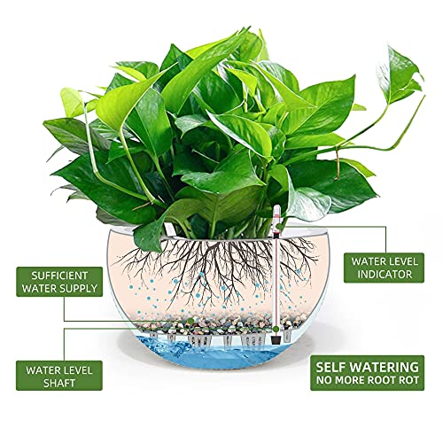 Dexceder 9 Inch Self Watering Hanging Planter (White) | Thickened Hanging Basket Flower Plant Pot with Water Level Indicator Indoor Outdoor - color: White, size: 9 Inch