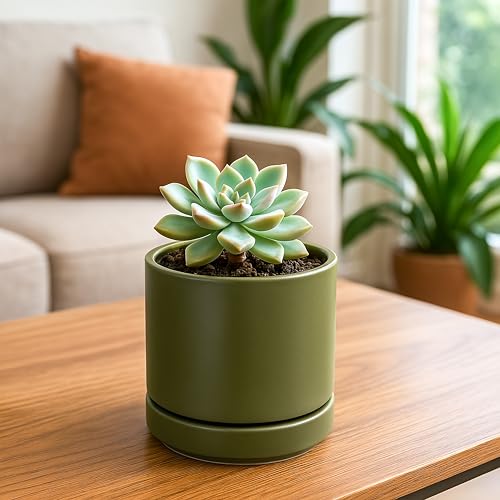 D'vine Dev 2-Pack Ceramic Pots with Saucers, Olive, 4.7 in, 94-V-B-J | Modern Cylinder Design, Glazed Ceramic, Drainage Hole & Saucer Included, High Temperature Fired, Elegant Home Accent - color: Olive, size: 4.7 Inch