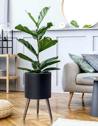 D'vine Dev Planter Pot with Wood Stand, 12 in, Matte Black, 88-Z-C-2 | Mid-Century Modern Style, Elevated Plant Display, Drainage Hole and Plug, Functional & Stylish, Modern Indoor Planter - color: Matte Black, size: Large
