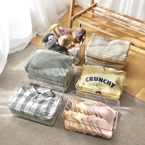 4Extra Large Lidded Plastic container , Clear Stackable Storage Boxes for Cabinets, Organization and Storage for Shelves Office Bathroom (4Extra Large) - size: 4Extra Large