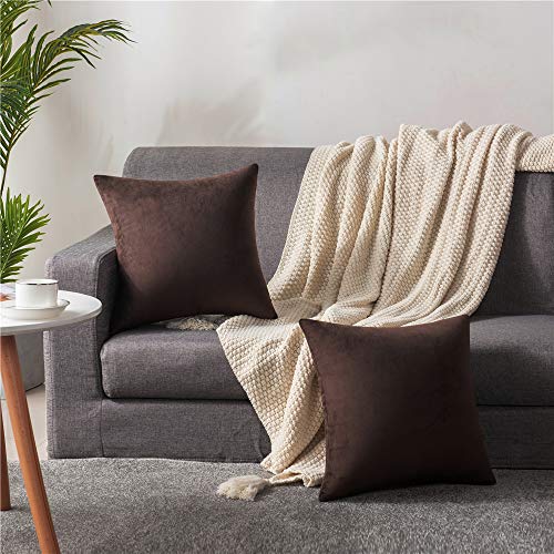 Throw Pillow Covers 16x16 Chocolate Brown: Pack of 2 Cozy Soft Velvet Square Modern Luxury Decorative Throw Pillow Cases for Sofa Couch Living Room Bed Home Decor - color: Chocolate Brown, size: 16" x 16" (Pack of 2)