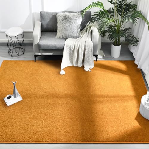 FlyDOIT Area Rugs for Bedroom Living Room, 4x6 Orange Super Soft Comfy Thickened Memory-Foam Indoor Carpets, Modern Aesthetic Minimalist Carpet for Boys Girls Adults Apartment Nursery Home Décor - color: Orange, size: 4' x 6' (Rectangular)