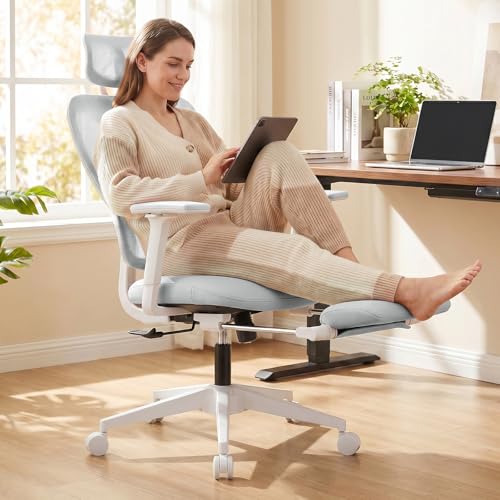Ergonomic Office Chair with Footrest and Dynamic Lumbar Support, Grey | Reclining high-back computer chair, memory foam seat, 2D armrests, 2D headrest, mesh desk chair for home office, long hours - color: Light Grey